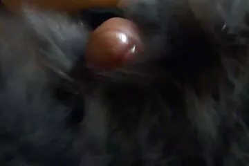 كتكوت في جوارب طويلة سكس عراقي نار شبكية يحب أن يمارس الجنس مع قابس شرجي في مؤخرتها