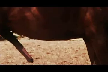 يجتاز سكسي عرب نار الطالب الامتحان بمساعدة جهاز الشفط